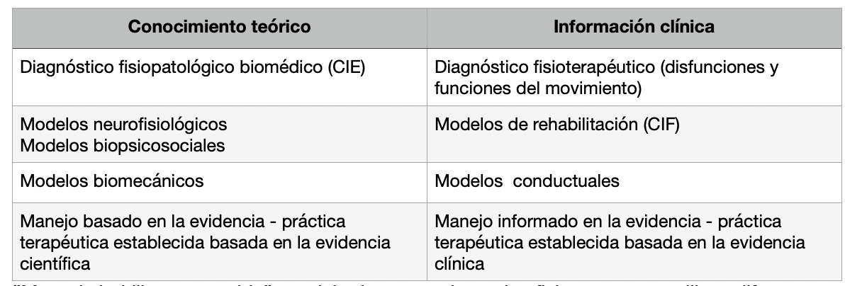 ”Muro de ladrillos permeable”, modelo de pensamiento: los fisioterapeutas utilizan diferentes paradigmas en su toma de decisiones clínicas.¹4