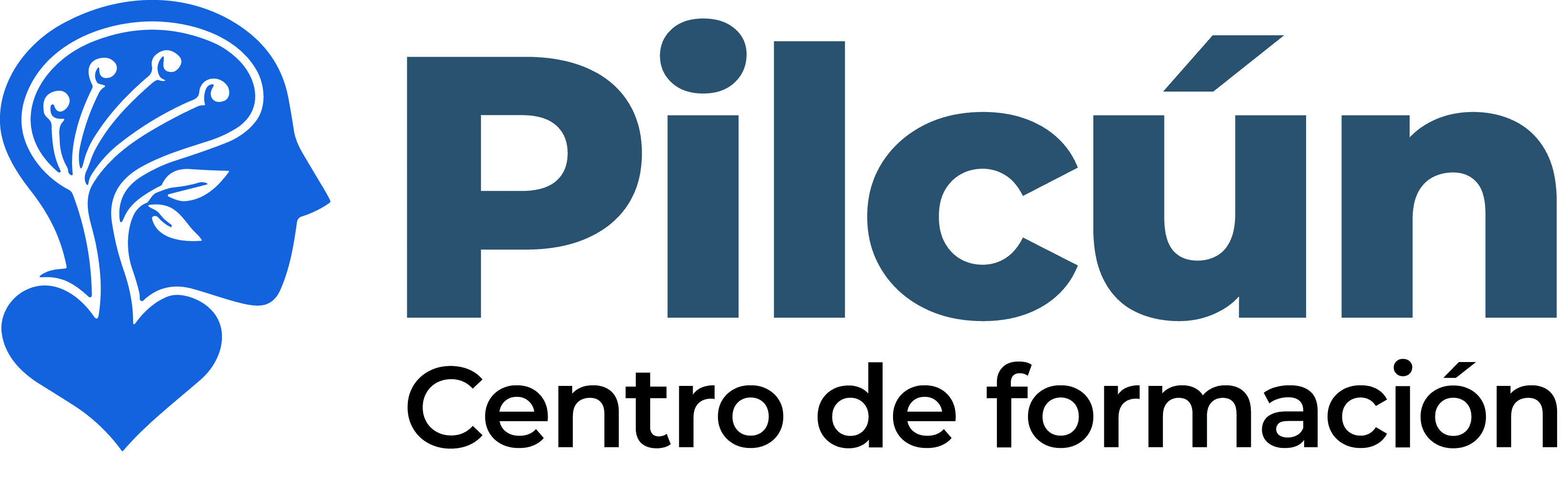 Logo Pilcun centro de formación Logo Pilcun centro de formación
